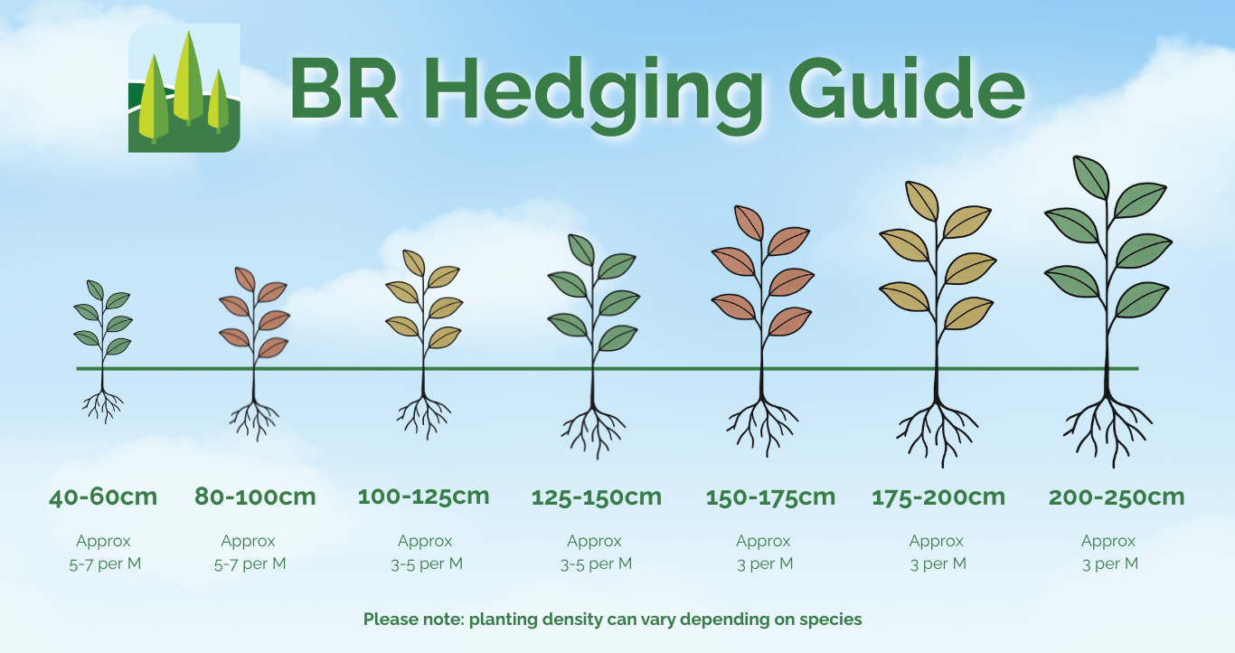 Hedging Guide