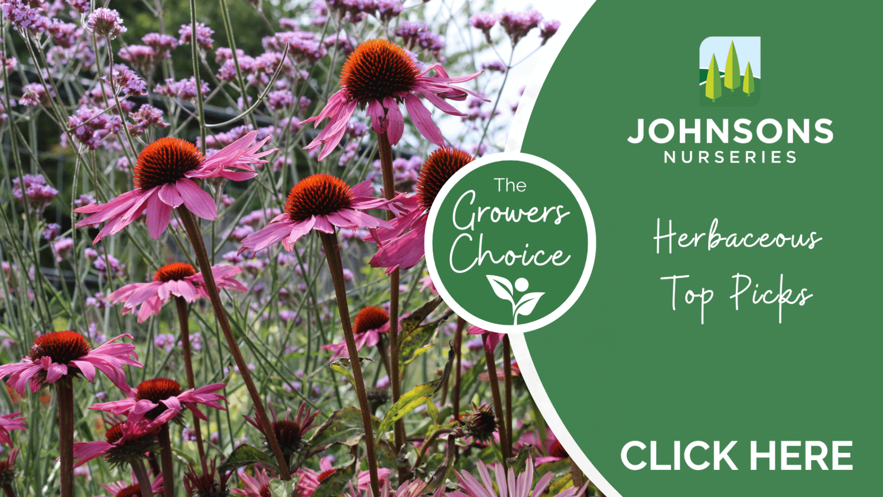 Herbaceous Top Picks