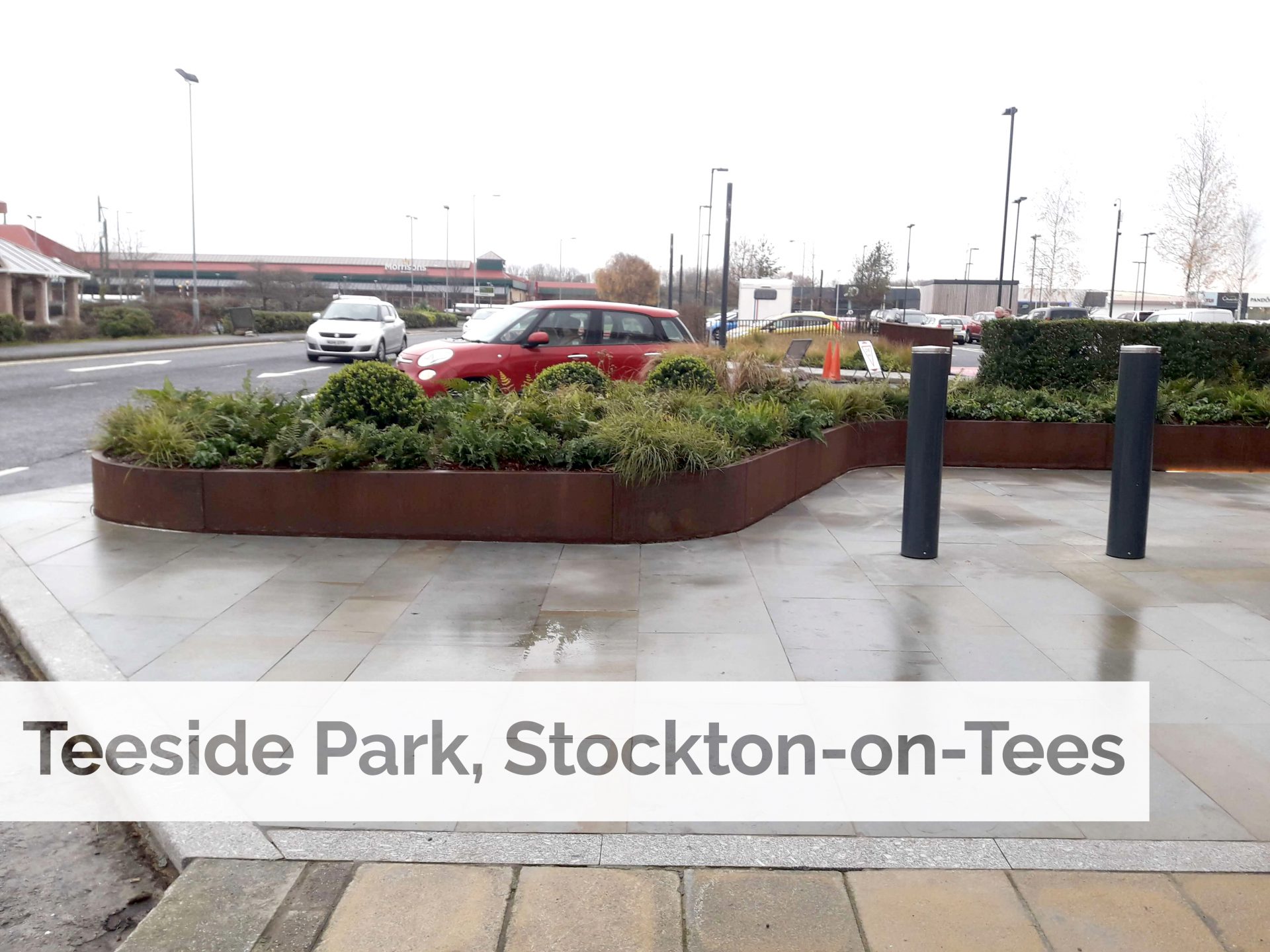 Plant supply to help create green oasis at Teeside Park