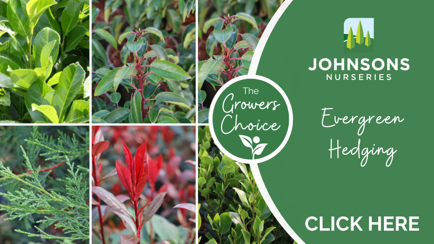 The Growers Choice Johnsons of Whixley