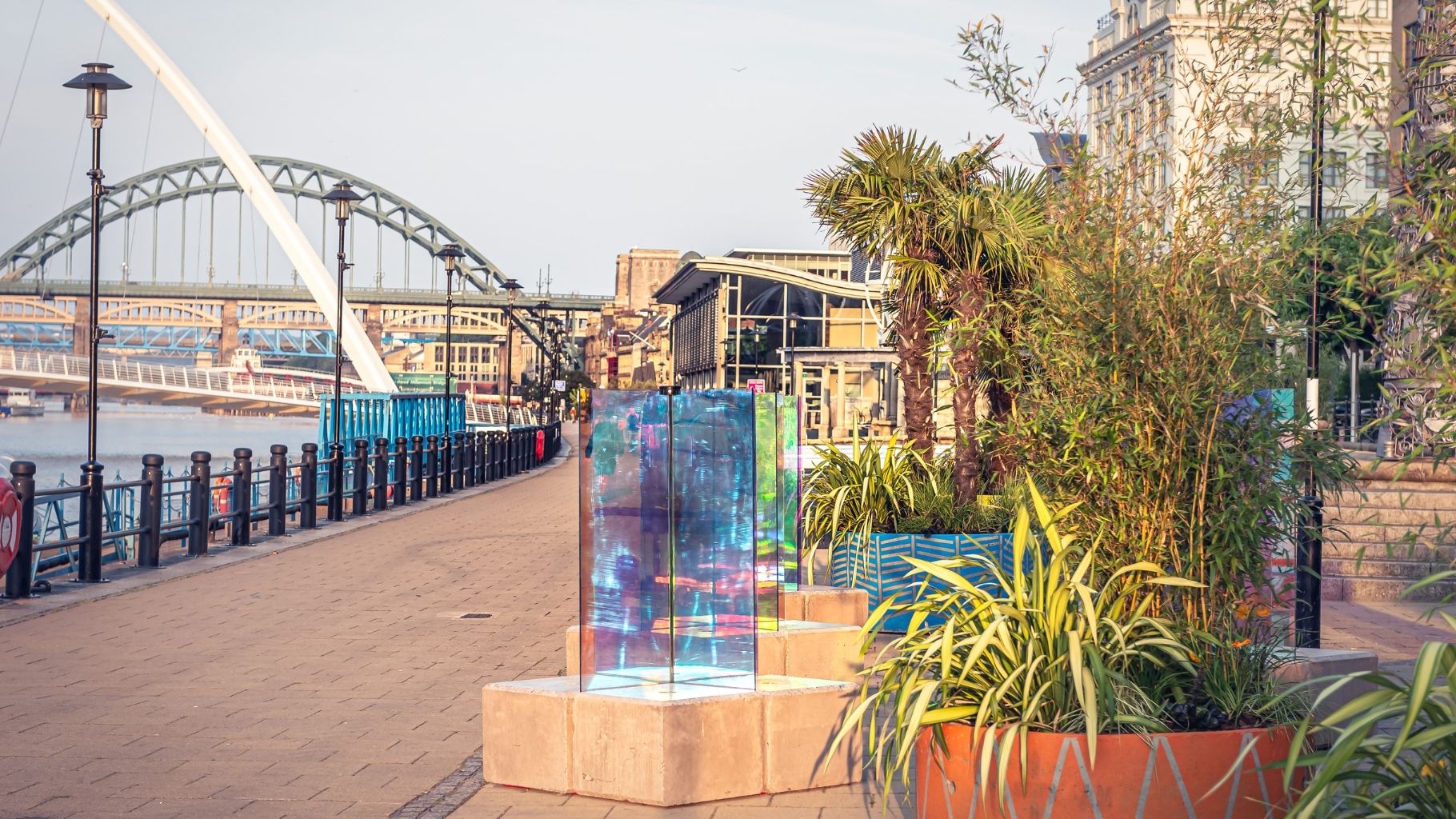 Planters bring iconic Quayside to life this summer