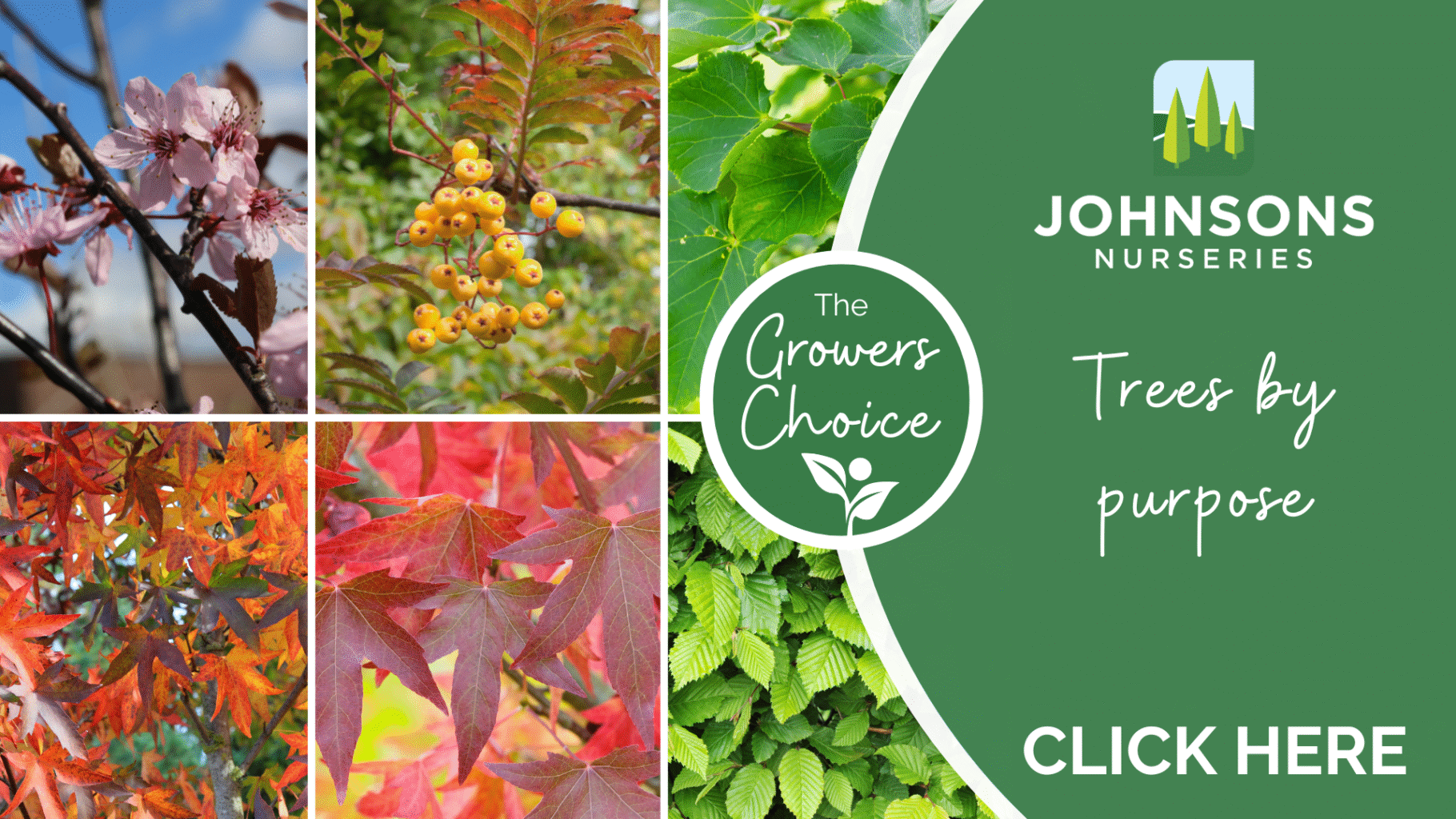 The Growers Choice: Trees by purpose
