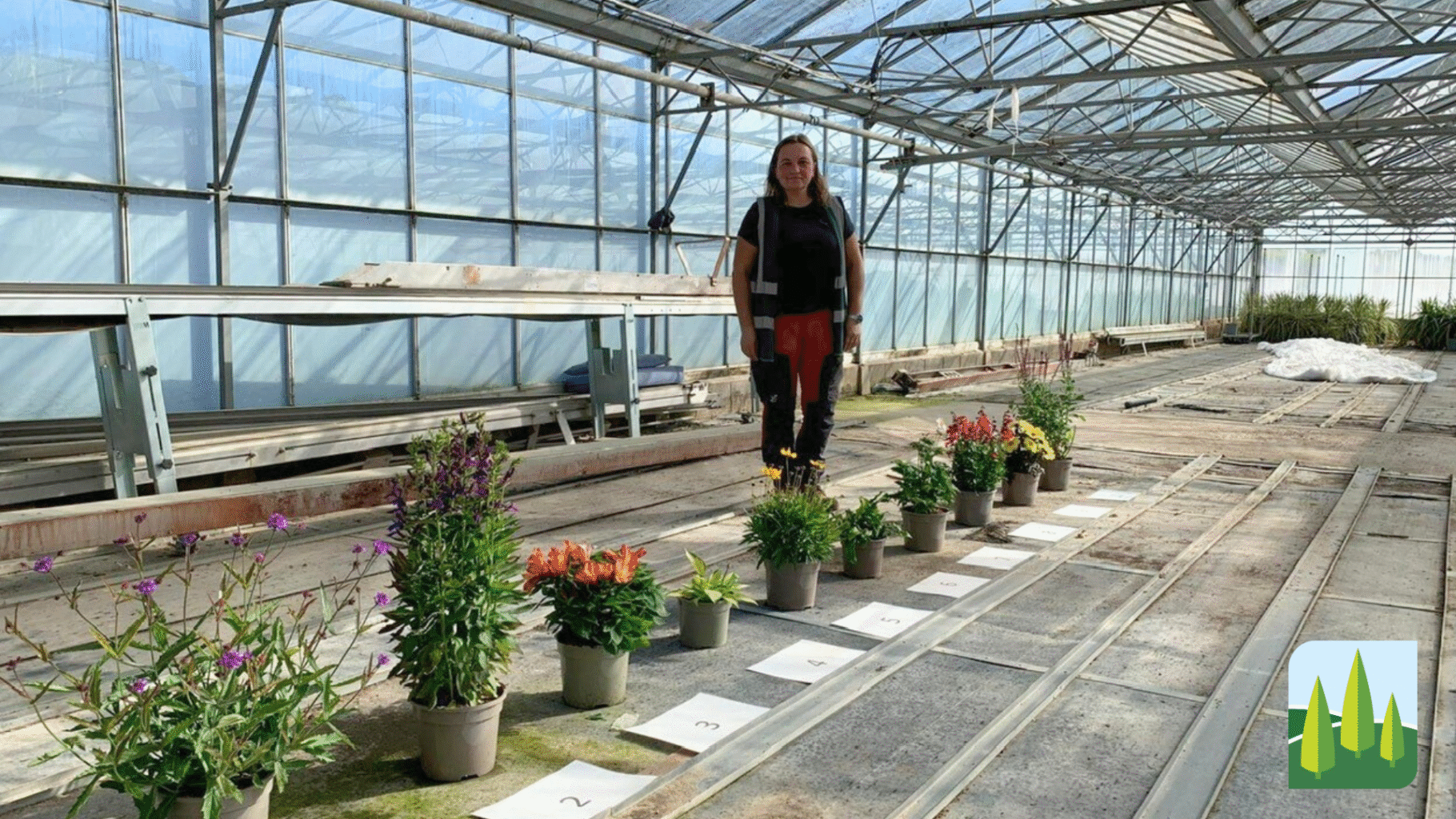Johnsons Launches Autumn Plant Identification Sessions